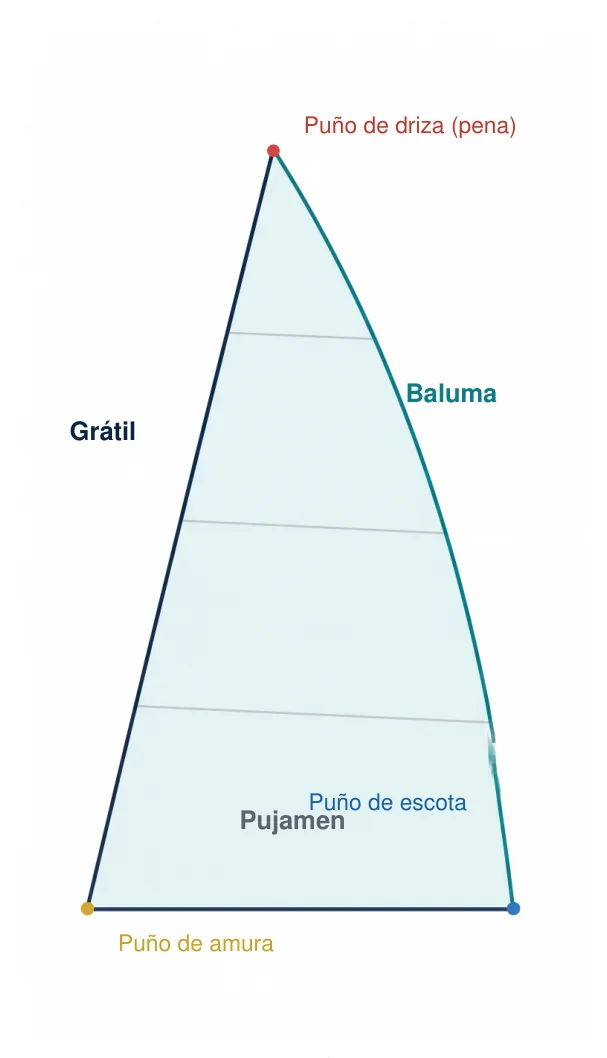 Partes de una vela triangular: grátil, baluma, pujamen y puños