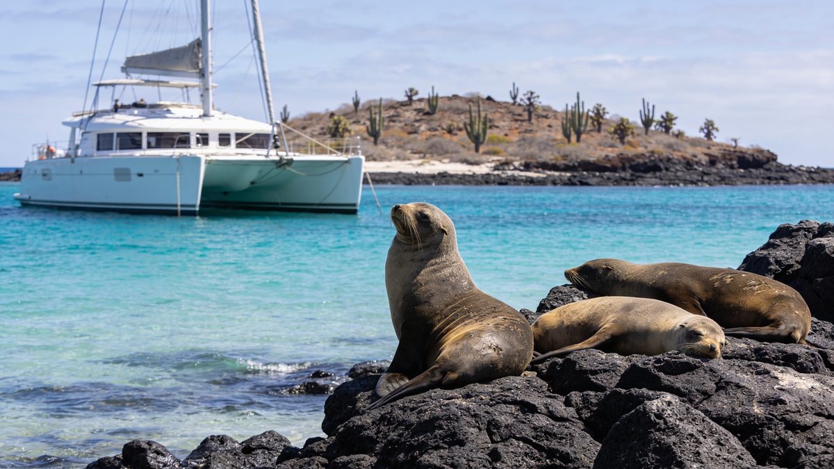 De Panamá a las Galápagos: las Perlas, la calma ecuatorial y la inspección que te espera al llegar
